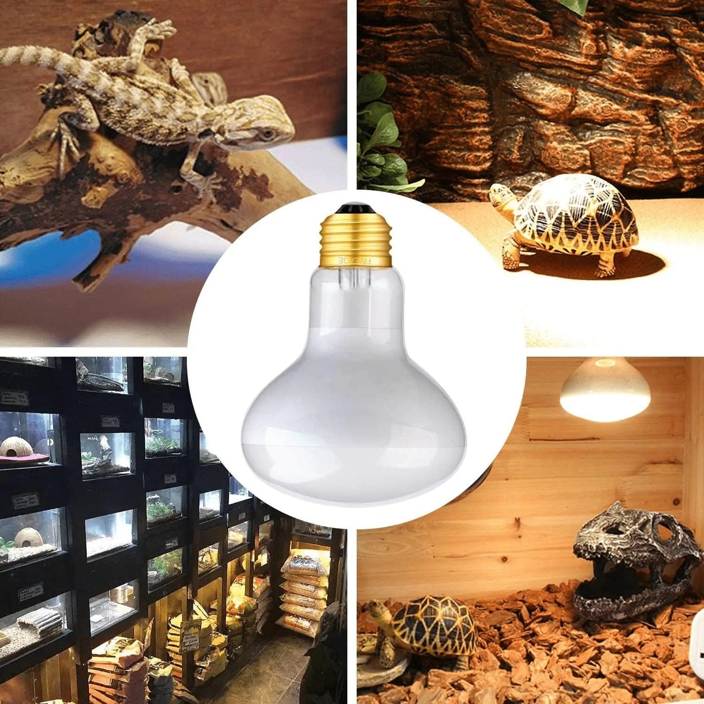 75W Basking Spot Daylight Lamp UVA Reptile Heat Bulb Soft White Sun Lamp for Reptile & Amphibian - 2 Pack Animals & Pet Supplies > Pet Supplies > Reptile & Amphibian Supplies > Reptile & Amphibian Habitat Heating & Lighting FIVEAGE
