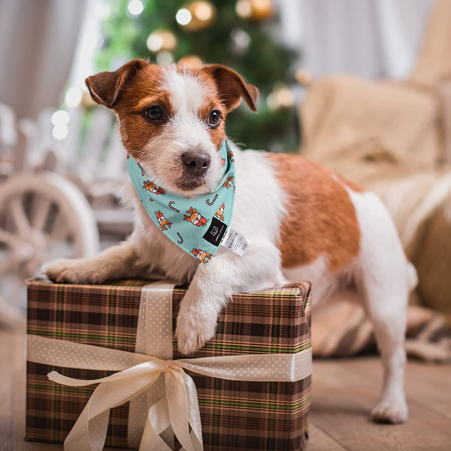 SHIBA LOGIC Christmas Dog Bandanas Pack of 2 - Xlarge - Reversible Dog Scarf Pet Bandana Puppy Bandana for Small Medium and Large Sized Girl and Boy Dogs - Holiday Themed Dog Apparel Accessories Animals & Pet Supplies > Pet Supplies > Dog Supplies > Dog Apparel Shiba Logic