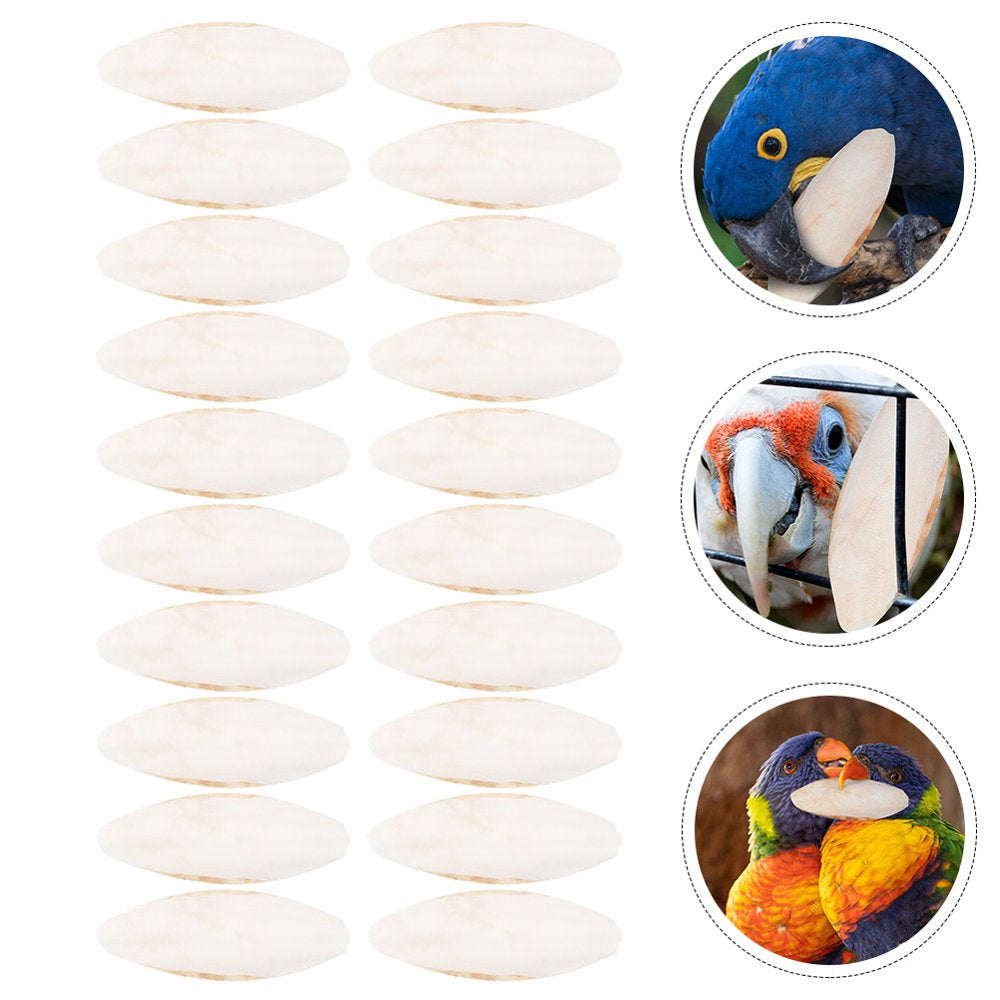 FRCOLOR 20Pcs Parrot Desalted Cuttlefish Bone Chewing Toy Birds Training Parrot Chew Toy Animals & Pet Supplies > Pet Supplies > Bird Supplies > Bird Toys FRCOLOR