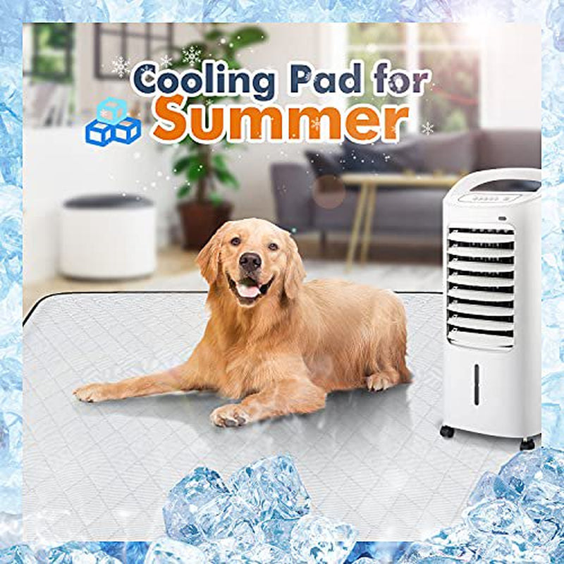 Gimars Heavy Absorbency Non-Slip Washable Waterproof Dog Mat, Reusable 65"X48" Dog Training Pads, Quick Dry Whelping Pads for Dogs, Pee Pads for Incontinence, Crate, Playpen, Kennel Sleeping Animals & Pet Supplies > Pet Supplies > Dog Supplies > Dog Diaper Pads & Liners Gimars