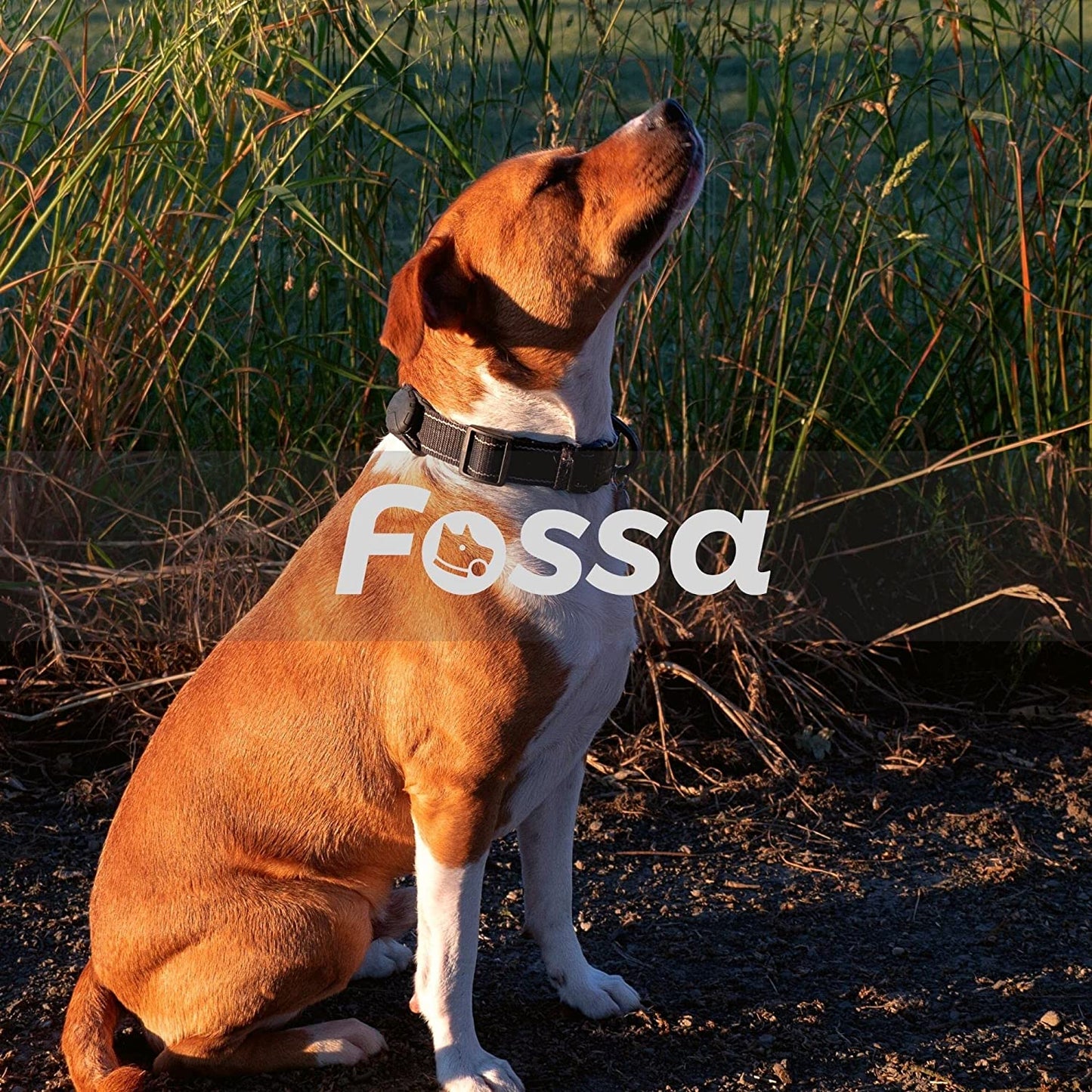 FOSSA Airtag Dog Collar Holder, Large Dog Airtag Holder, Waterproof Dog Collar Airtag Holder, Cat Air Tag Tracker Case Electronics > GPS Accessories > GPS Cases FOSSA