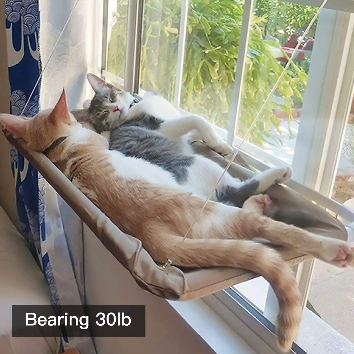 Cat Window Hammock Perch Cat Safety Bed with Durable Heavy Duty Suction Cups Resting Sunny Window Seat for Indoor Cats Sleeping Space Saving Window Mounted Cat Bed Holds up to 30Lbs Animals & Pet Supplies > Pet Supplies > Cat Supplies > Cat Beds Chainplus