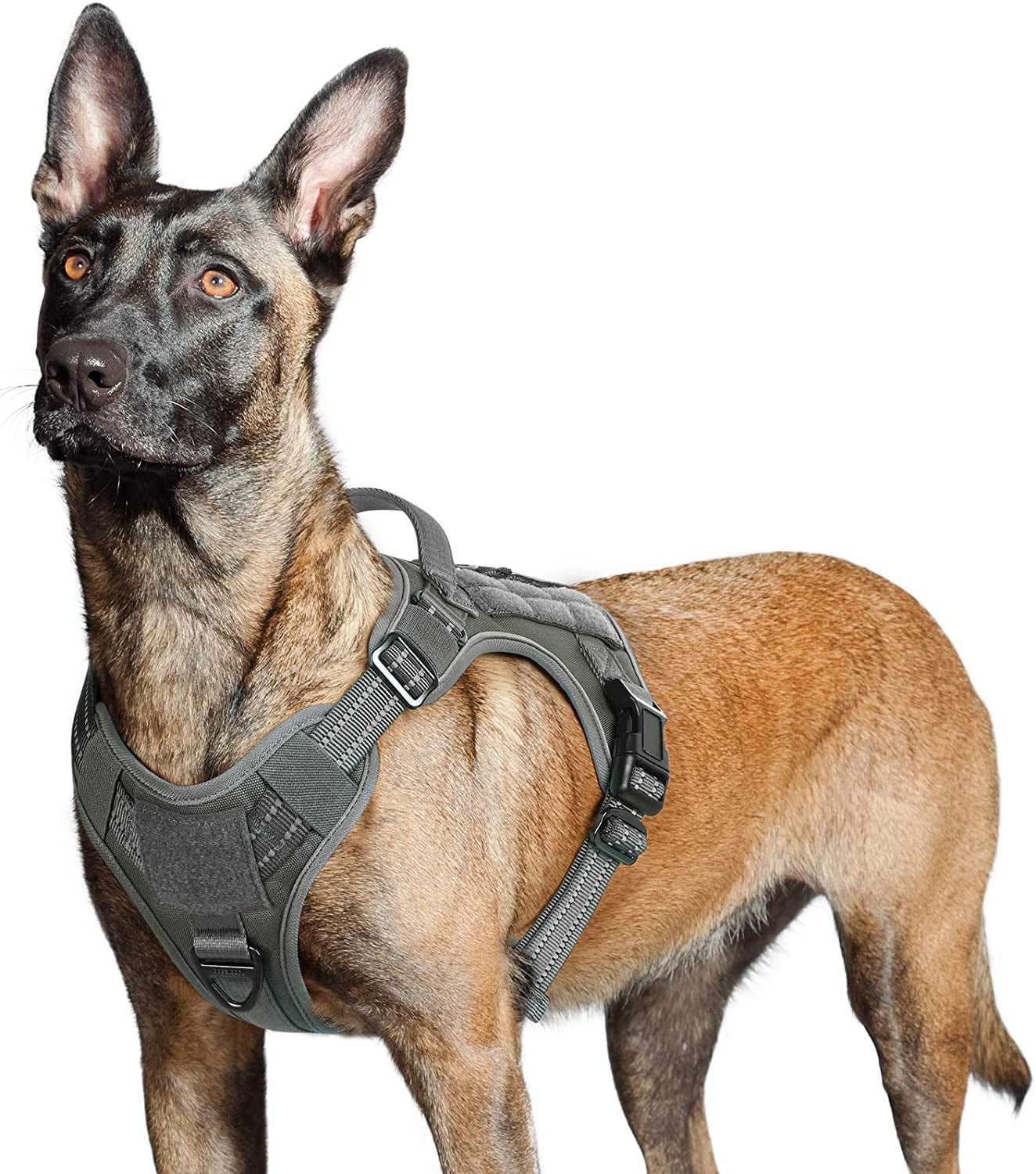 Rabbitgoo Tactical Dog Harness No Pull, Military Dog Vest Harness with Handle & Molle, Easy Control Service Dog Harness for Large Dogs Training Walking, Adjustable Reflective Pet Harness, Black, L Animals & Pet Supplies > Pet Supplies > Dog Supplies > Dog Apparel GLOBEGOU CO.,LTD Grey Large 