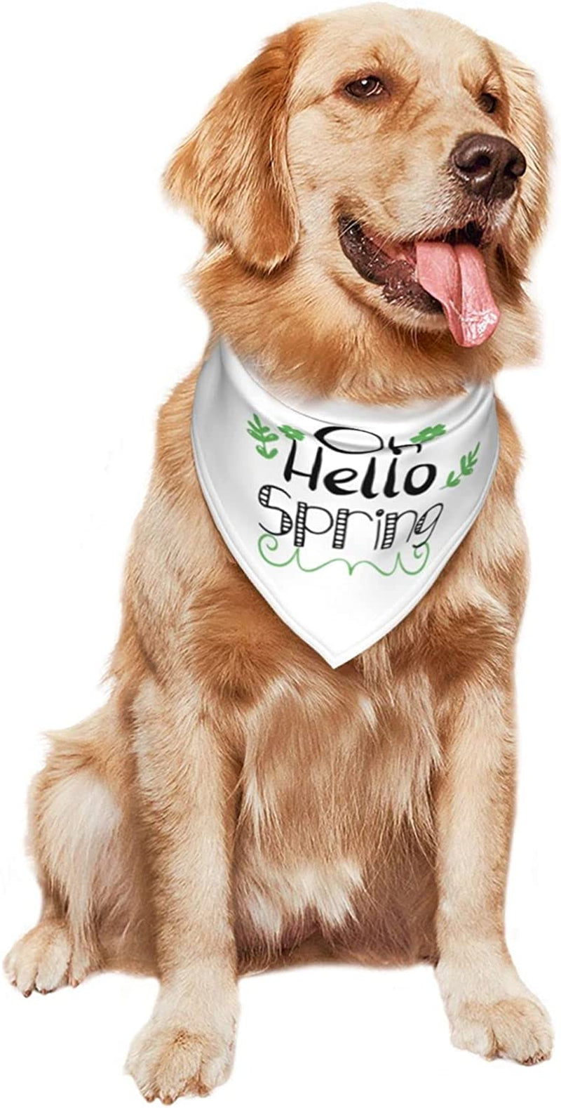 Hello Spring Black English Pet Dog and Cat Decorative Triangle Scarf,Dog Bandana,Breathable and Stain Resistant. Animals & Pet Supplies > Pet Supplies > Dog Supplies > Dog Apparel ZALTAS