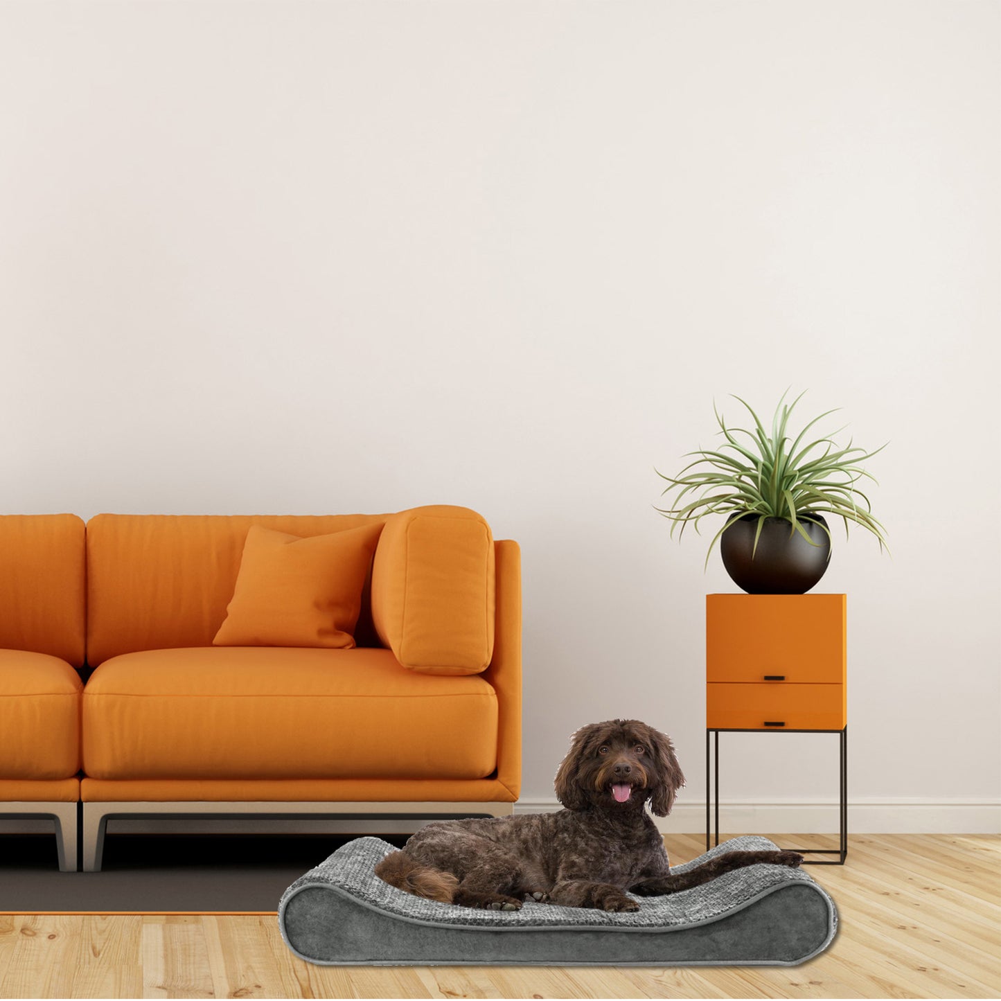 Mayton, Standard Foam Inner Waterproof with Corn Grain Pattrern Lounger Cradle Mattress Contour Pet Bed W/ Removable Cover for Dogs & Cats, Small - 24" X 36" X 5.5” Animals & Pet Supplies > Pet Supplies > Cat Supplies > Cat Beds Mayton L