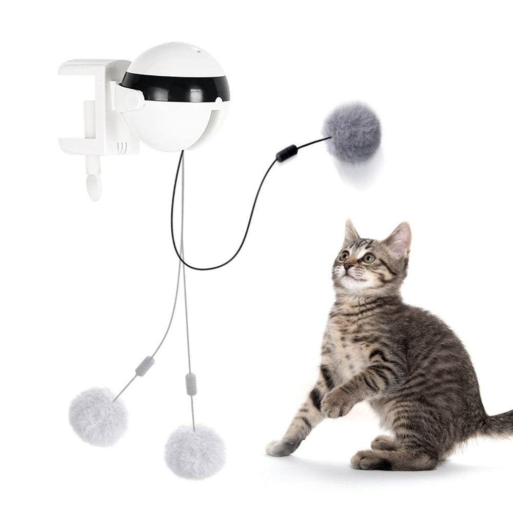 Programmable sales cat toy