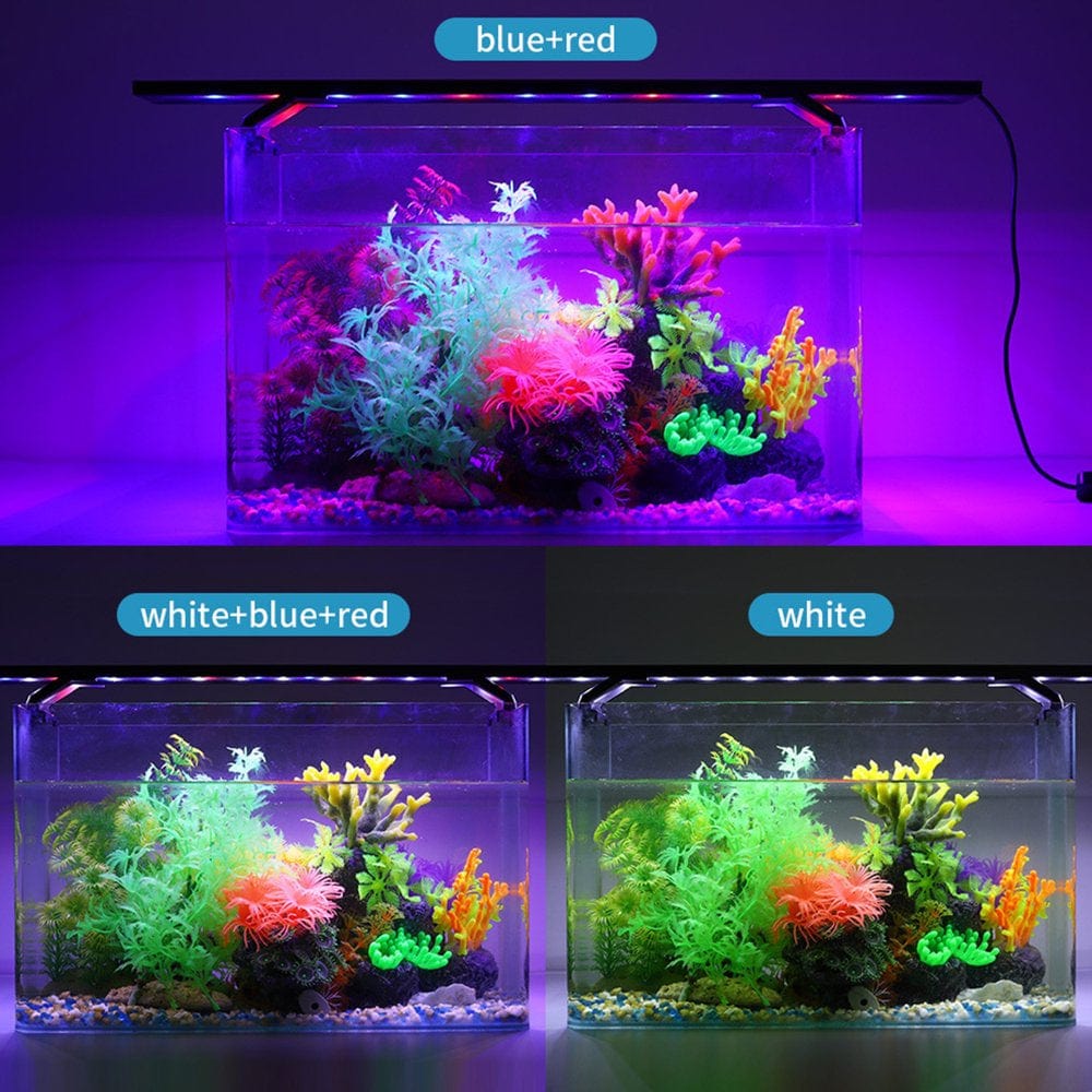 8 Inch Aquarium Light with Timer Submersible Fish Tank Light Adjustable Brightness 3 Light Modes Clamp Aquarium LED Fish Tank Clip Light Animals & Pet Supplies > Pet Supplies > Fish Supplies > Aquarium Lighting MABOTO