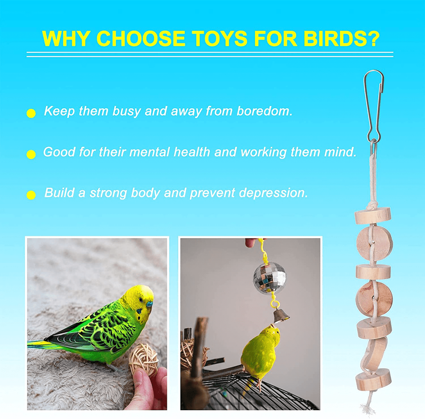 8 Packs Bird Swing Chewing Toys, Parrots Toys Bird Cage Toys Set Hammock Bell Swing Ladder Perch Chewing Toys for Smaller Birds Animals & Pet Supplies > Pet Supplies > Bird Supplies > Bird Ladders & Perches LOCOLO