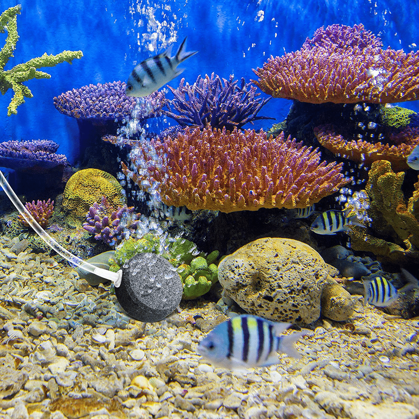 8 Pieces Small Air Stones 1.6 Inch Diffuser Aquarium Fish Tank Stone Bubbler Air Pump Disc Diffuser Oxygen Stone Accessories for Hydroponics Aquariums Ponds Animals & Pet Supplies > Pet Supplies > Fish Supplies > Aquarium Air Stones & Diffusers Mudder