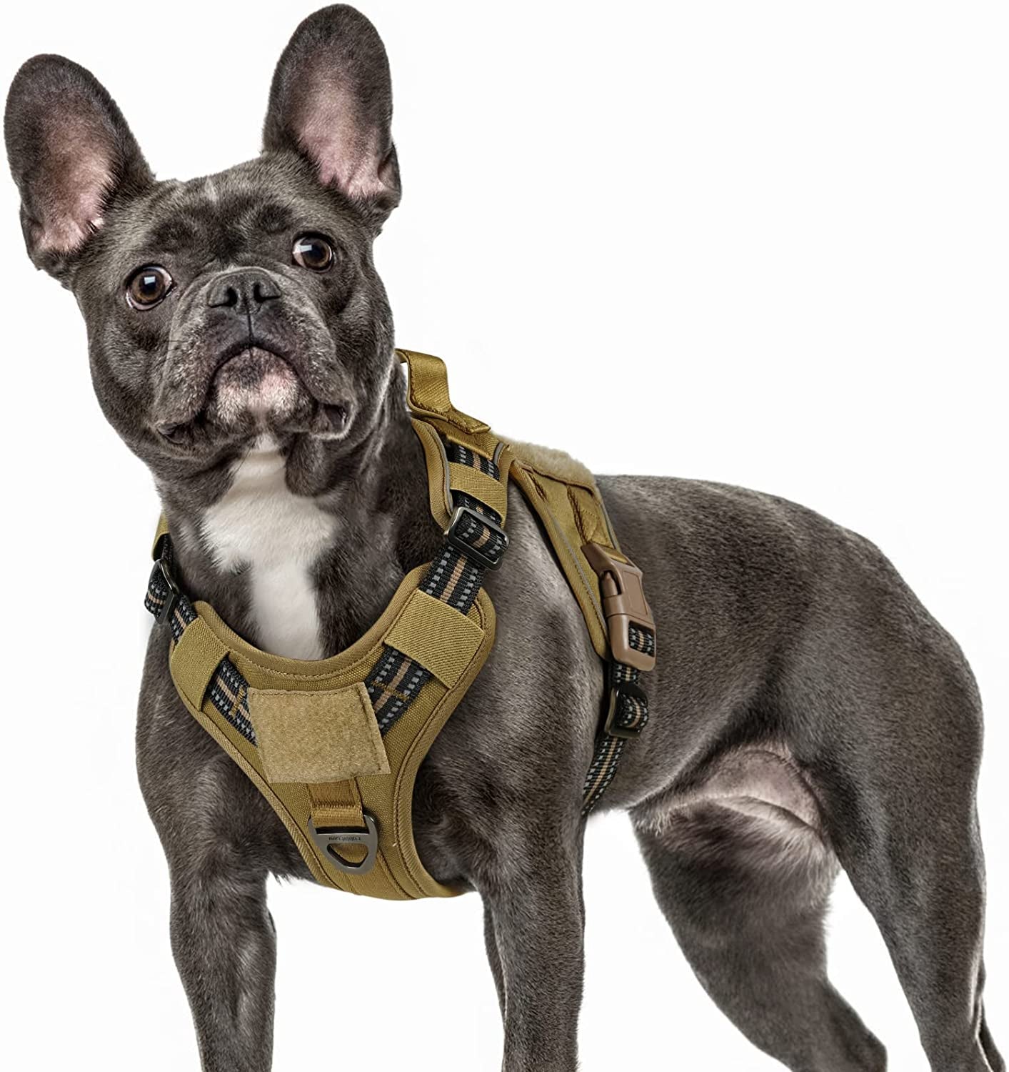 Rabbitgoo Tactical Dog Harness No Pull, Military Dog Vest Harness with Handle & Molle, Easy Control Service Dog Harness for Large Dogs Training Walking, Adjustable Reflective Pet Harness, Black, L Animals & Pet Supplies > Pet Supplies > Dog Supplies > Dog Apparel GLOBEGOU CO.,LTD Brown Medium 