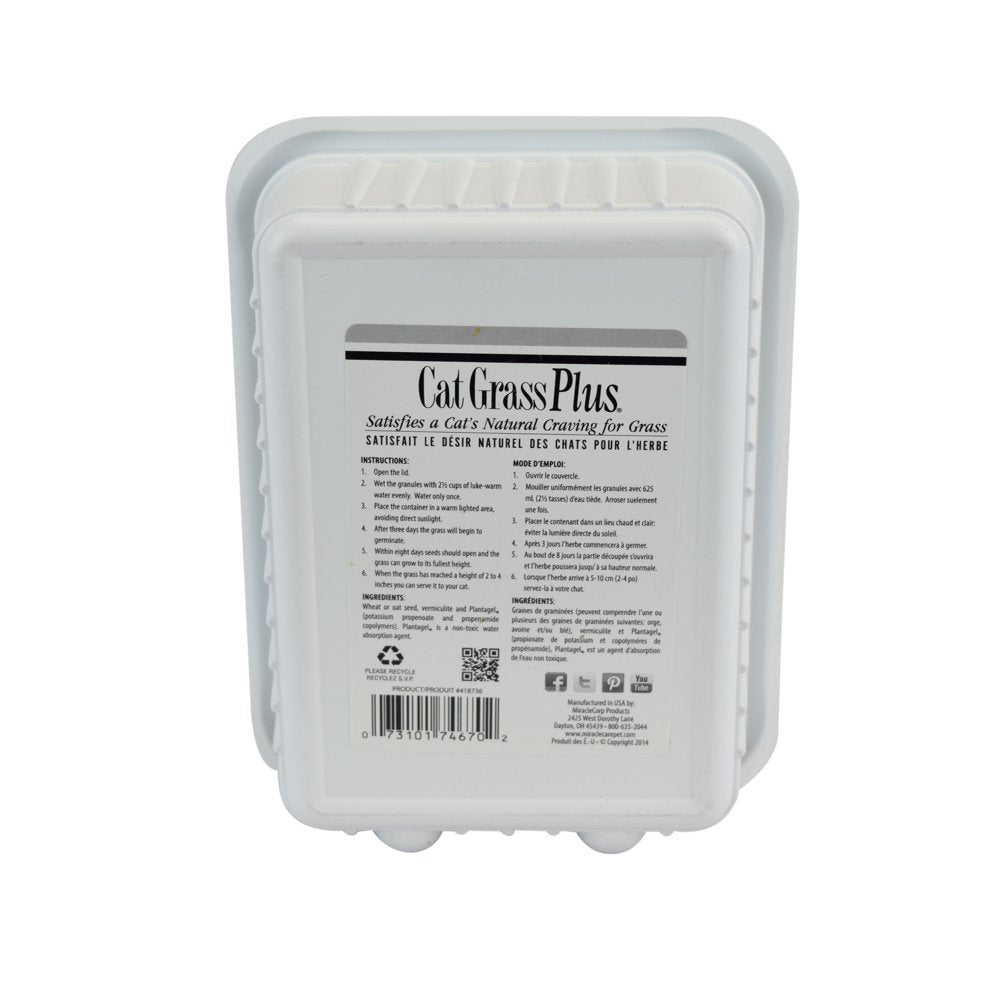 Cat A'Bout Cat Grass Plus, 150 Gram Tub Animals & Pet Supplies > Pet Supplies > Cat Supplies > Cat Treats MiracleCorp Products