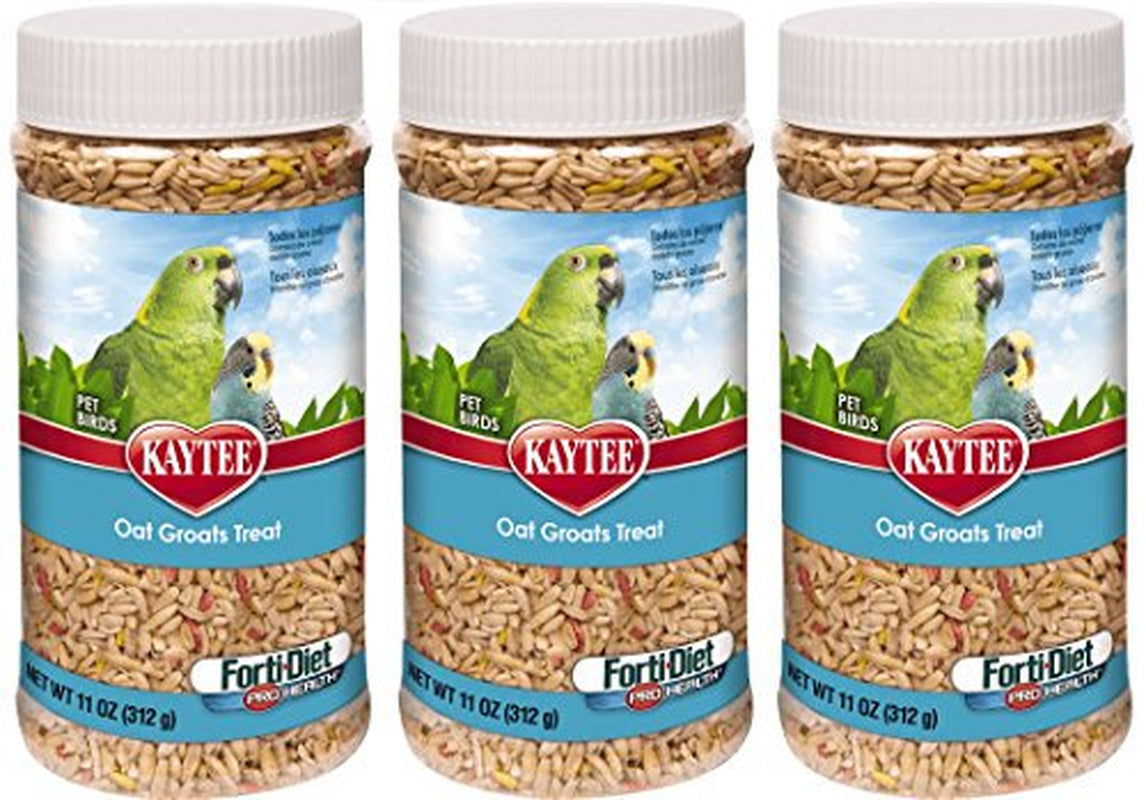 Kaytee Forti Diet Pro Health Oat Groats Treat for Pet Birds, 11-Ounces per Pack (3 Pack) Animals & Pet Supplies > Pet Supplies > Bird Supplies > Bird Treats Kaytee
