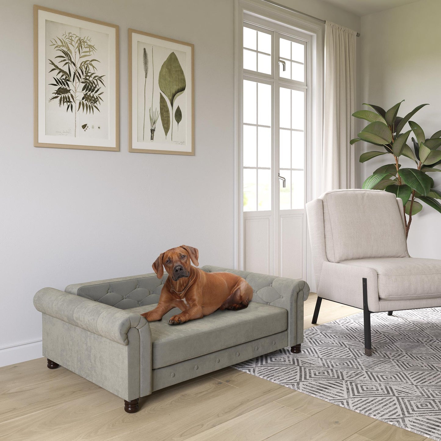 Ollie & Hutch Felix Pet Sofa, Large Size Pet Bed for Dog or Cat, Green Velvet Animals & Pet Supplies > Pet Supplies > Cat Supplies > Cat Beds Dorel Home Products L Gray Velvet