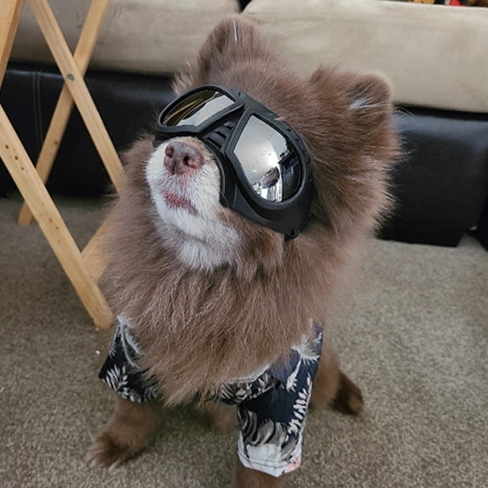 DONGKER Dog Sunglasses, Pet Ski Glasses Windproof Snowproof Pet Goggles W/Adjustable Straps for Small Dogs Puppy Animals & Pet Supplies > Pet Supplies > Dog Supplies > Dog Apparel DONGKER