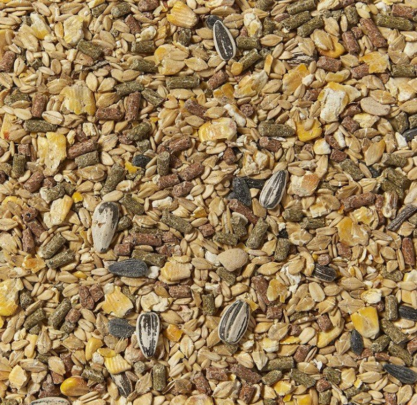 Kaytee Rodent Food Animals & Pet Supplies > Pet Supplies > Small Animal Supplies > Small Animal Food Kaytee Products, Inc