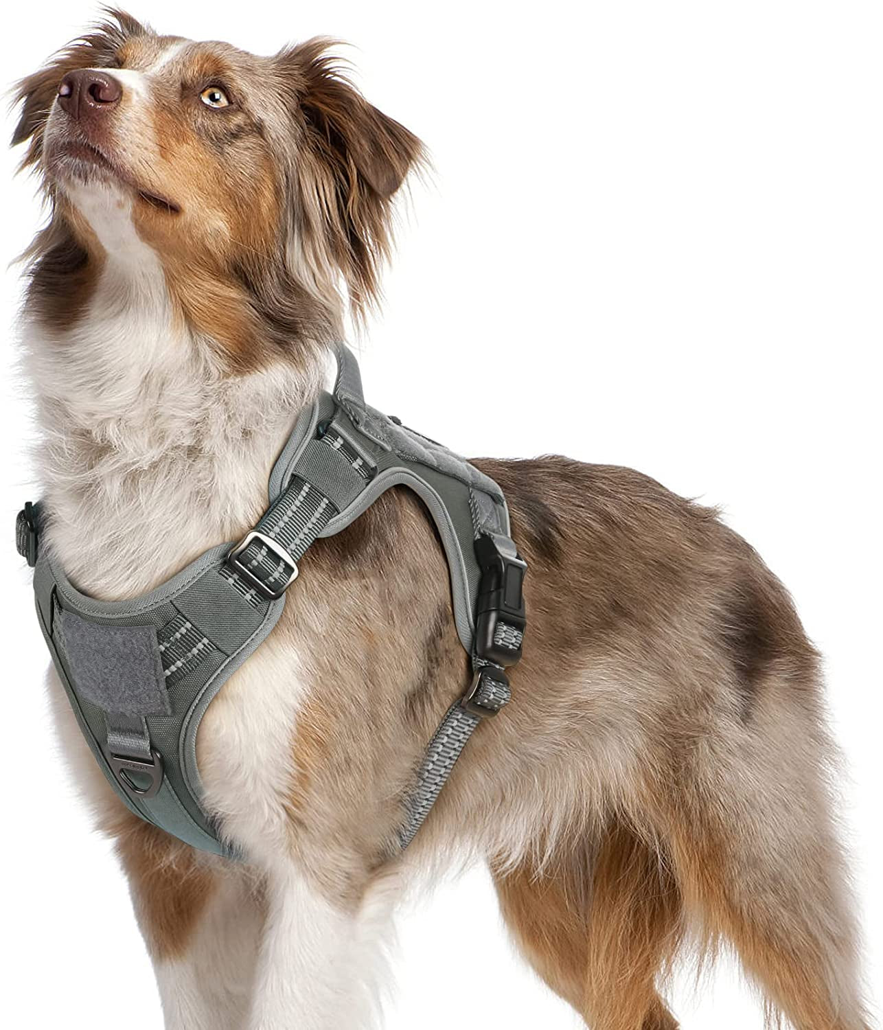 Rabbitgoo Tactical Dog Harness No Pull, Military Dog Vest Harness with Handle & Molle, Easy Control Service Dog Harness for Large Dogs Training Walking, Adjustable Reflective Pet Harness, Black, L Animals & Pet Supplies > Pet Supplies > Dog Supplies > Dog Apparel GLOBEGOU CO.,LTD Grey Medium