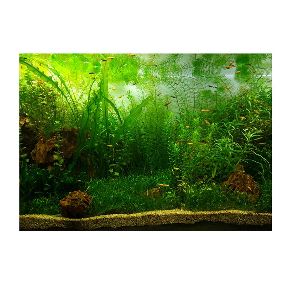 Aquarium Background Poster -Sided Sticker Plants 61X30Cm Animals & Pet Supplies > Pet Supplies > Fish Supplies > Aquarium Decor Gazechimp 122x61cm