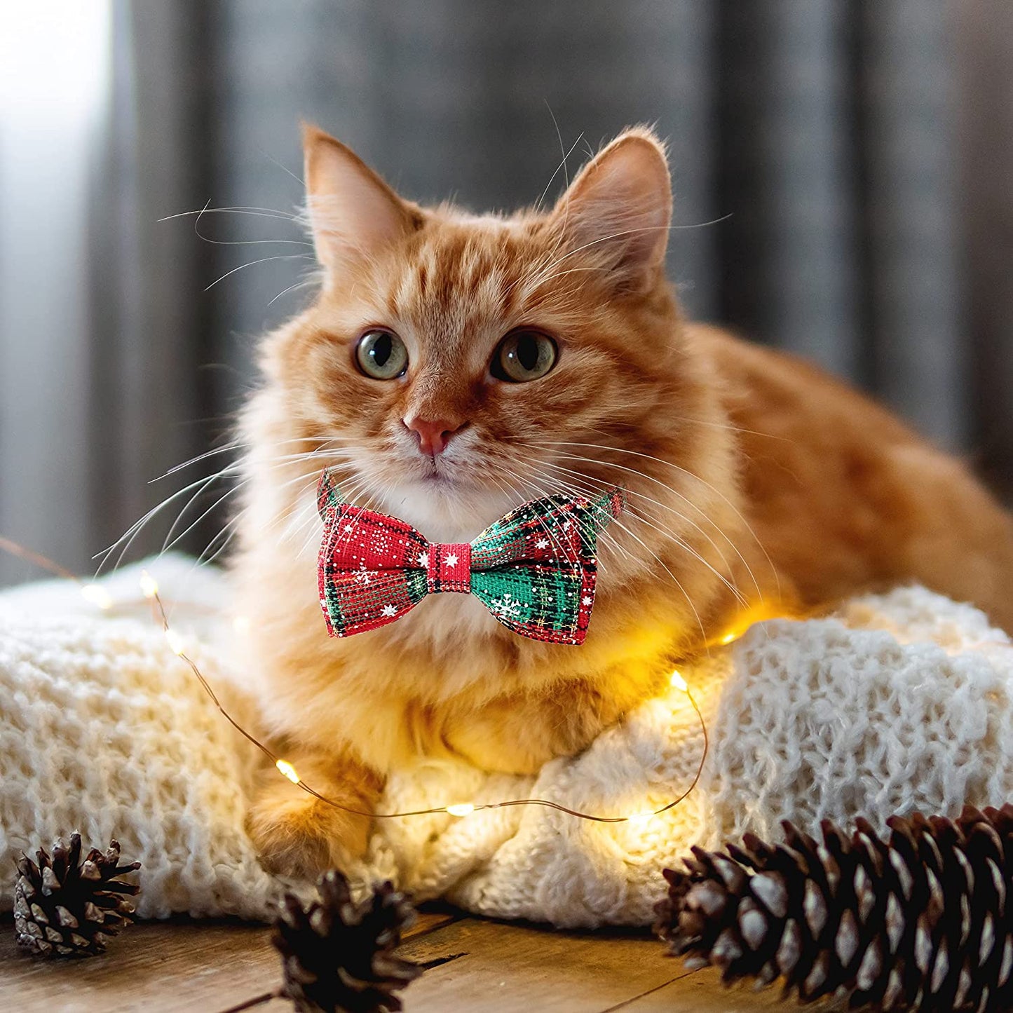 2 Pack Christmas Dog Collar with Bow Tie, Holiday Buffalo Snowflake Collar for Small Medium Large Dogs Cats Pets Puppies (Small-(11"-17") Neck * 5/8" Wide) Animals & Pet Supplies > Pet Supplies > Dog Supplies > Dog Apparel Pohshido