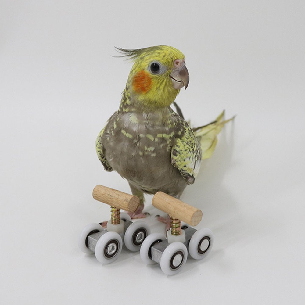 Tabletop Trick Skates Toys Bird Lovebird Gym Foot Animals & Pet Supplies > Pet Supplies > Bird Supplies > Bird Gyms & Playstands Colcolo
