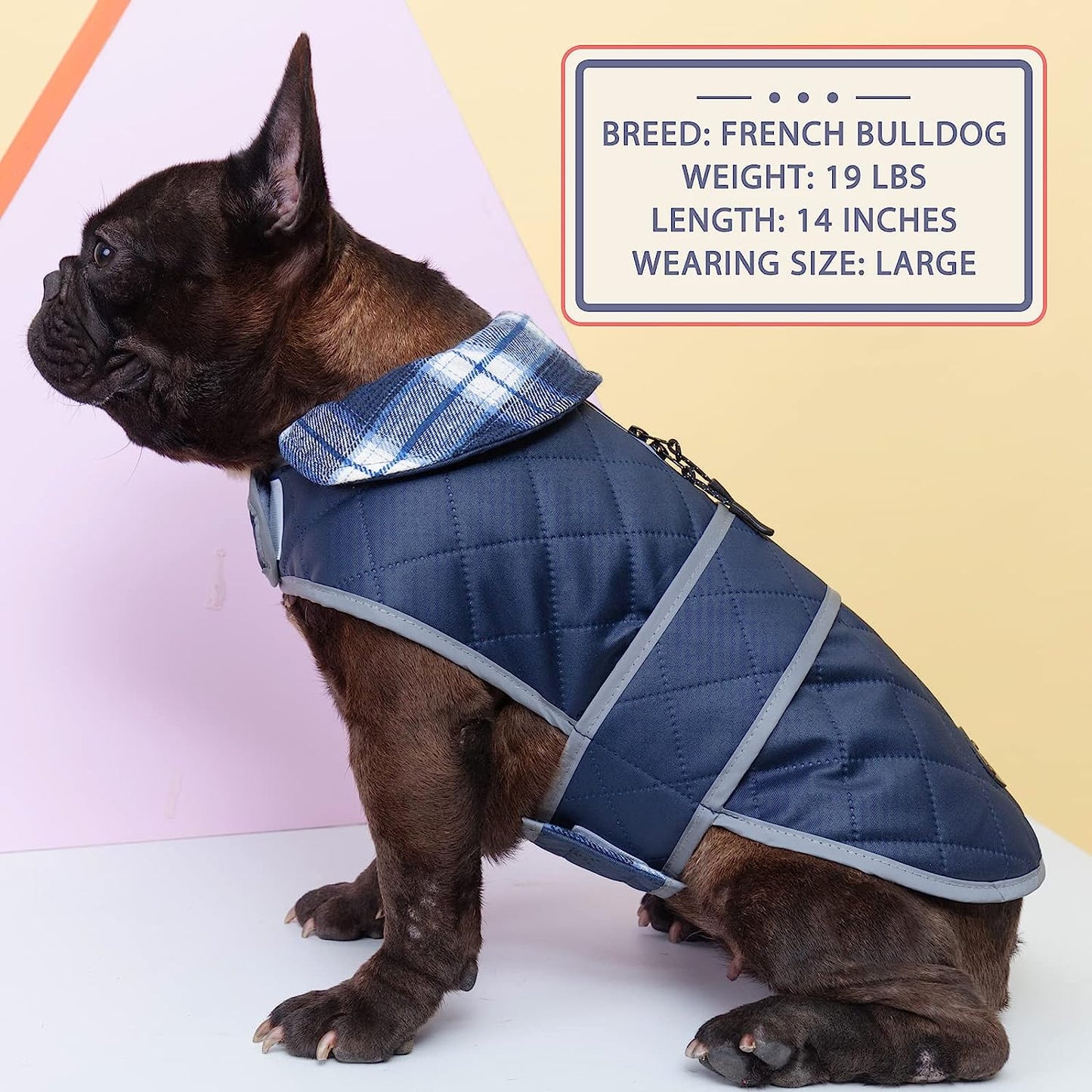 KYEESE Dog Jackets Waterproof Windproof with Reflective Strip Quilted Size Adjustable Dog Cold Weather Coat with Leash Hole for Small Dogs Animals & Pet Supplies > Pet Supplies > Dog Supplies > Dog Apparel kyeese   