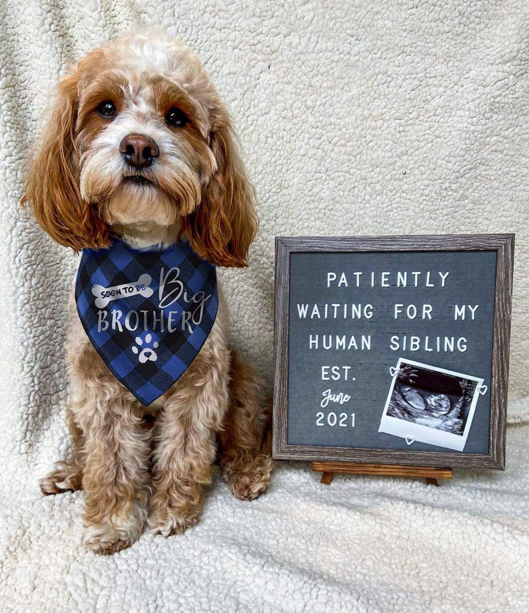 Big Brother Dog Bandana, Reversible Plaid Triangle Bibs Pet Scarf Animals & Pet Supplies > Pet Supplies > Dog Supplies > Dog Apparel Pawskido