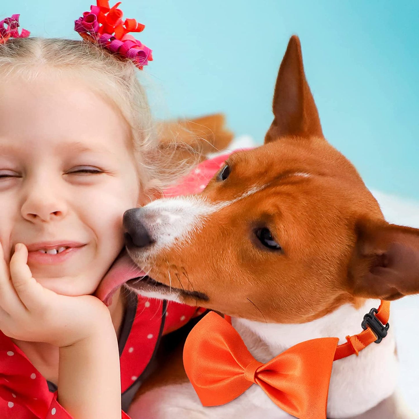 Potchen 200Pcs Dog Bow Ties Dogs Adjustable Collar 19 Colors Puppy Cat Dog Neck Tie Collars Pet Grooming Accessories Little Medium Girl Boy Pet Holiday Festival Wedding Party Blue/White/Purple Animals & Pet Supplies > Pet Supplies > Dog Supplies > Dog Apparel Potchen