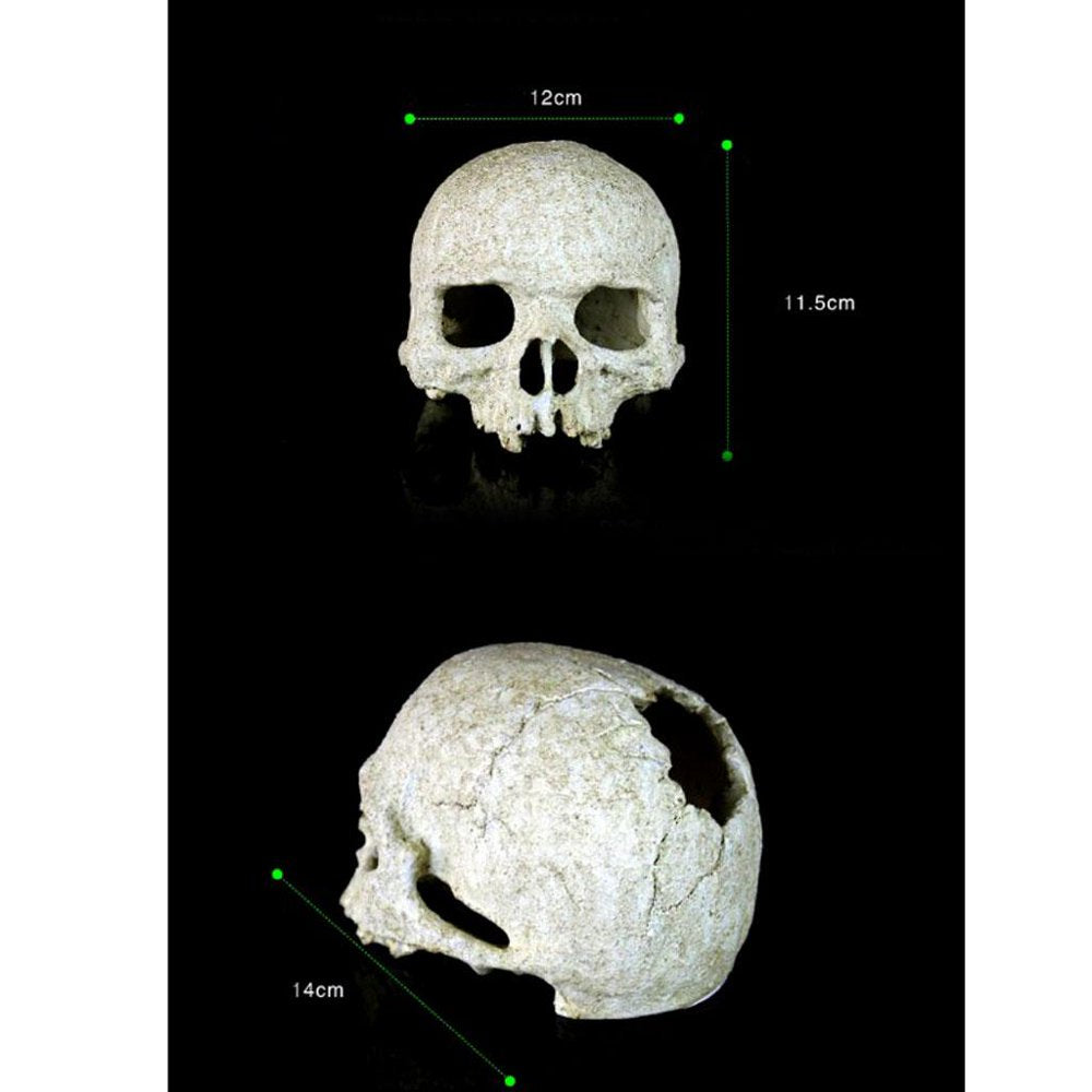 Reptile Cave, Resin Basking Platform Hiding Habitat Aquarium Terrarium Decoration Ornament for Turtles Amphibians Fish Animals & Pet Supplies > Pet Supplies > Small Animal Supplies > Small Animal Habitat Accessories FITYLE