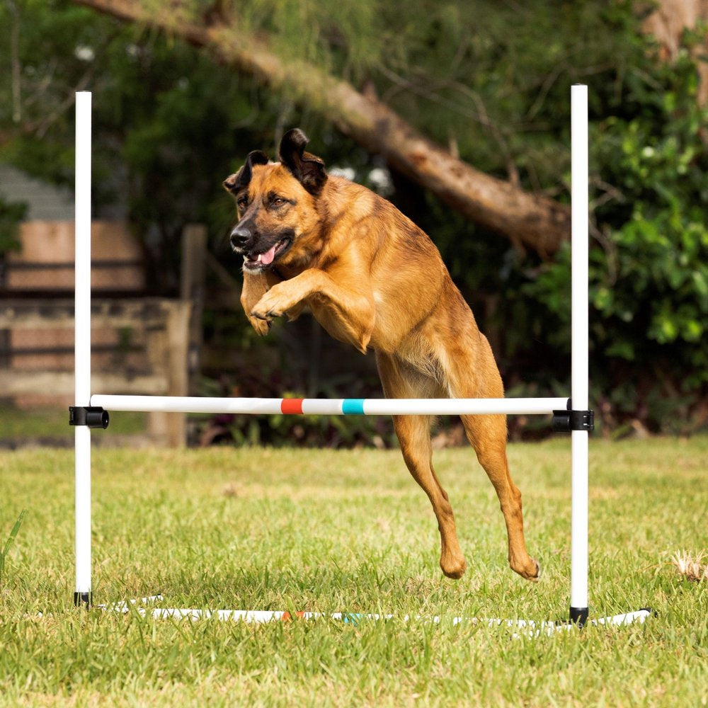 Midlee Dog Agility Bar Jumps- Set of 4 Jumps Animals & Pet Supplies > Pet Supplies > Dog Supplies > Dog Treadmills Midlee