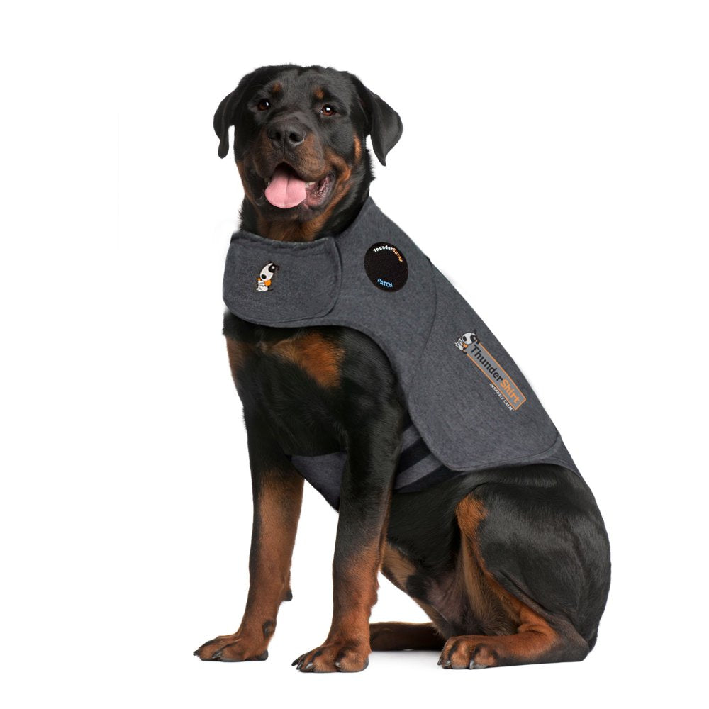 Thundershirt Anxiety Jacket for Dogs, Heather Grey, Small Animals & Pet Supplies > Pet Supplies > Dog Supplies > Dog Apparel ThunderWorks XXL