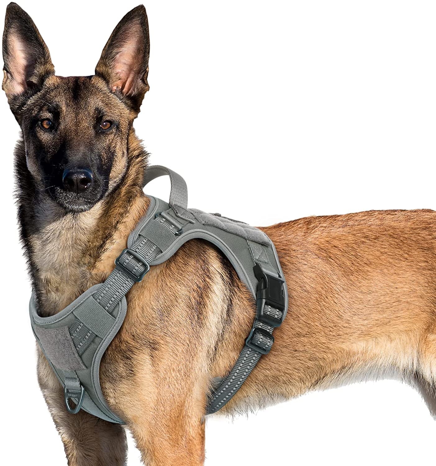 Rabbitgoo Tactical Dog Harness No Pull, Military Dog Vest Harness with Handle & Molle, Easy Control Service Dog Harness for Large Dogs Training Walking, Adjustable Reflective Pet Harness, Black, L Animals & Pet Supplies > Pet Supplies > Dog Supplies > Dog Apparel GLOBEGOU CO.,LTD Grey X-Large 