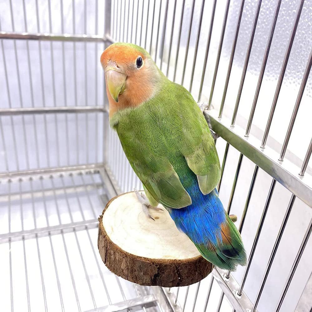 9 Pcs Parrots Chewing Natural Wood and Rope Bird Toy Coconut Hideaway with Ladder,Bird Perch Stand,Bird Cage Accessories Animals & Pet Supplies > Pet Supplies > Bird Supplies > Bird Ladders & Perches Mengmen