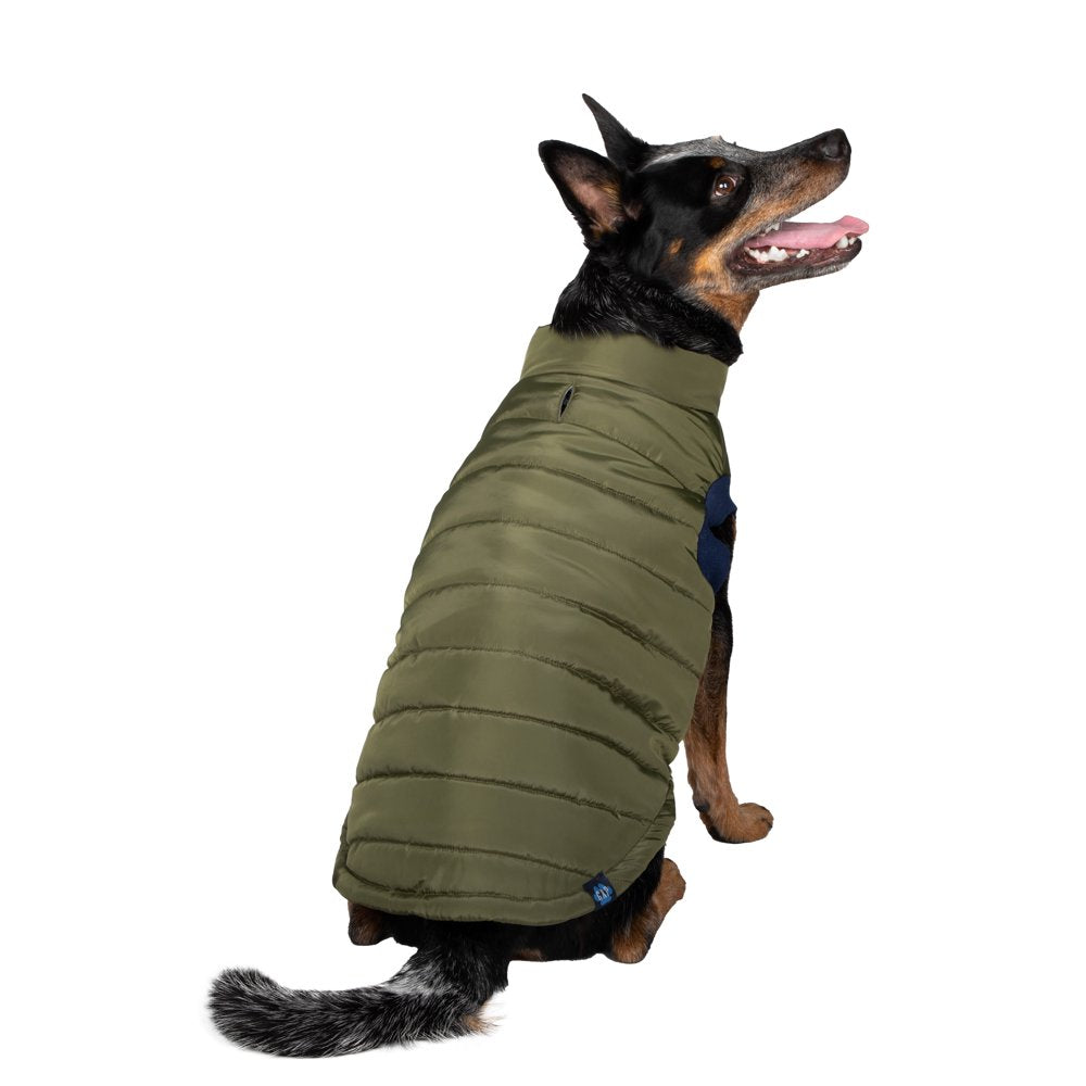 Gap Pet, Dog Clothes Green Bomber Pet Jacket Animals & Pet Supplies > Pet Supplies > Dog Supplies > Dog Apparel Mission Pets, Inc XL
