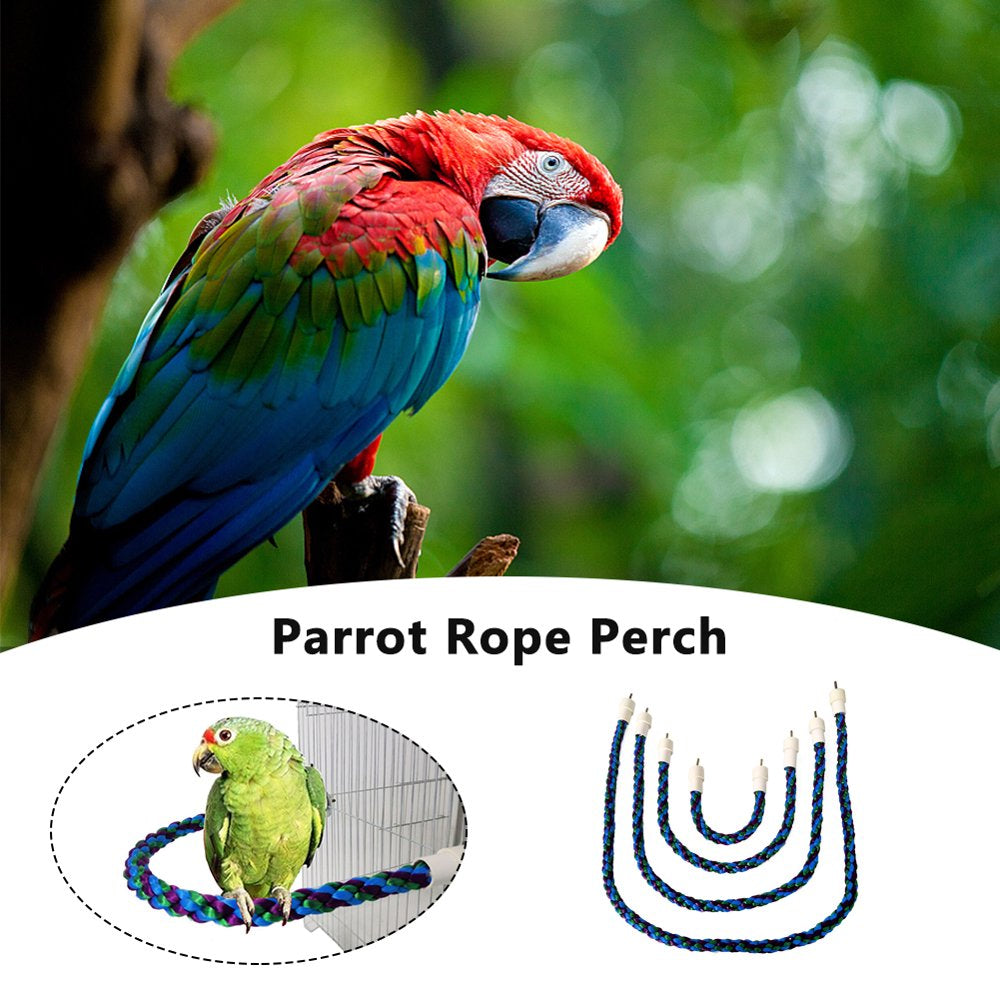 ASCZOV US Rope Perch Bird Climbing Parrot Toy Flexible Cotton Blend Bungee Standing Animals & Pet Supplies > Pet Supplies > Bird Supplies > Bird Toys ASCZOV
