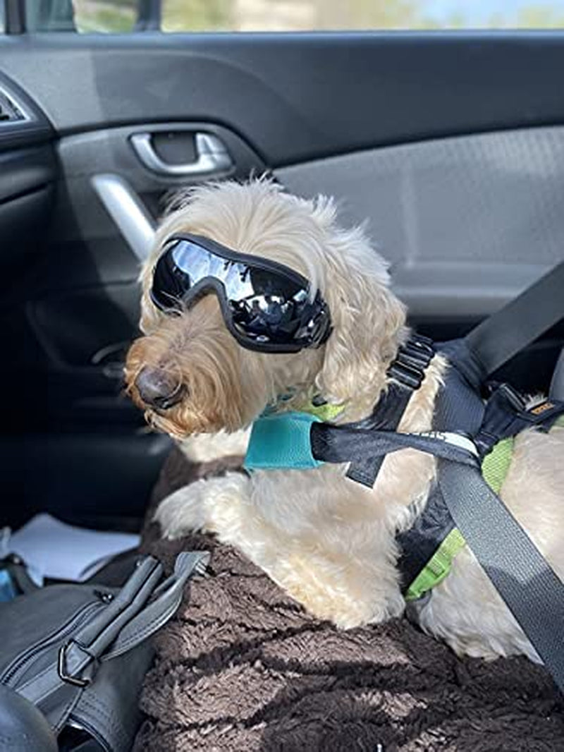 CHROM Dog Goggles - Large Dog Eye Protection Doggles Windproof Sunglasses for Medium Large Dog (Black-Silver) Animals & Pet Supplies > Pet Supplies > Dog Supplies > Dog Apparel CHROM