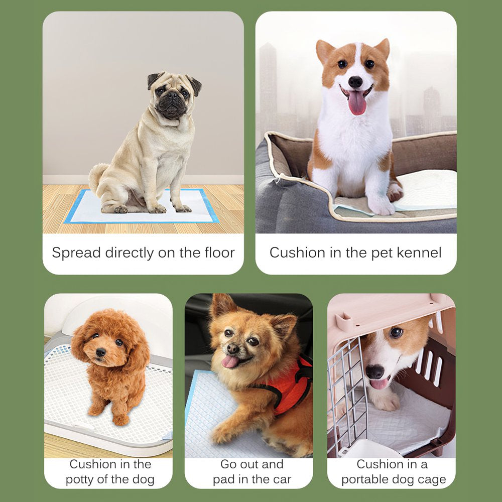 Pet Potty Training Pads for Dogs Puppy Pads Pee Pads, Quick Absorb, 24" X 24",100 Count Animals & Pet Supplies > Pet Supplies > Dog Supplies > Dog Diaper Pads & Liners ALLOMN