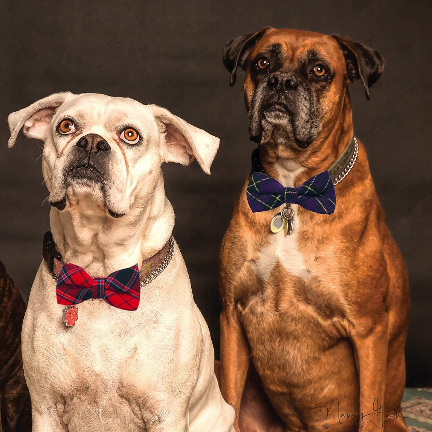 PET SHOW 10Pcs Plaid Large Dogs Collar Attachment Bow Ties Embellishment Medium Dog Cat Collar Charms Accessories Bulk Slides Bowties for Birthday Wedding Parties Animals & Pet Supplies > Pet Supplies > Dog Supplies > Dog Apparel Bysitshow