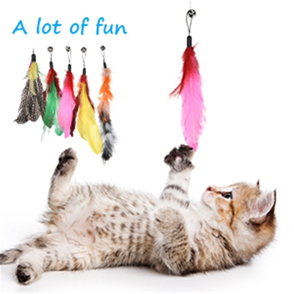Cat Toys Interactive Cat Feather Wand, Kitten Toys Retractable Cat Wand Toy 10Pcs Natural Feather Teaser Replacements Telescopic Cat Fishing Pole Toy for Indoor Kitty Old Cat Exercise Animals & Pet Supplies > Pet Supplies > Cat Supplies > Cat Toys Ms.Dear