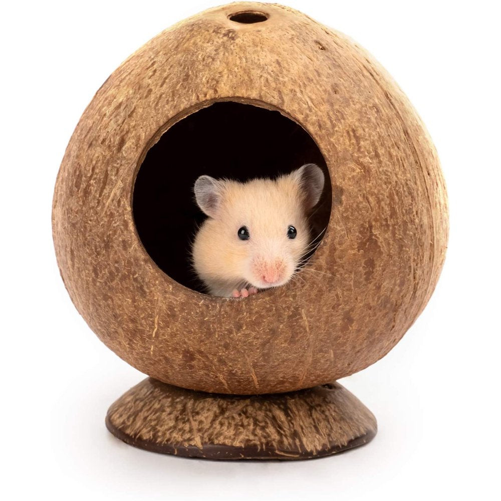 Coconut Hut Hamster House Bed for Gerbils Mice Small Animal Cage Habitat Decor Natural Coconut Shell House Cage Hamster Animals & Pet Supplies > Pet Supplies > Small Animal Supplies > Small Animal Habitats & Cages FUSSWIND