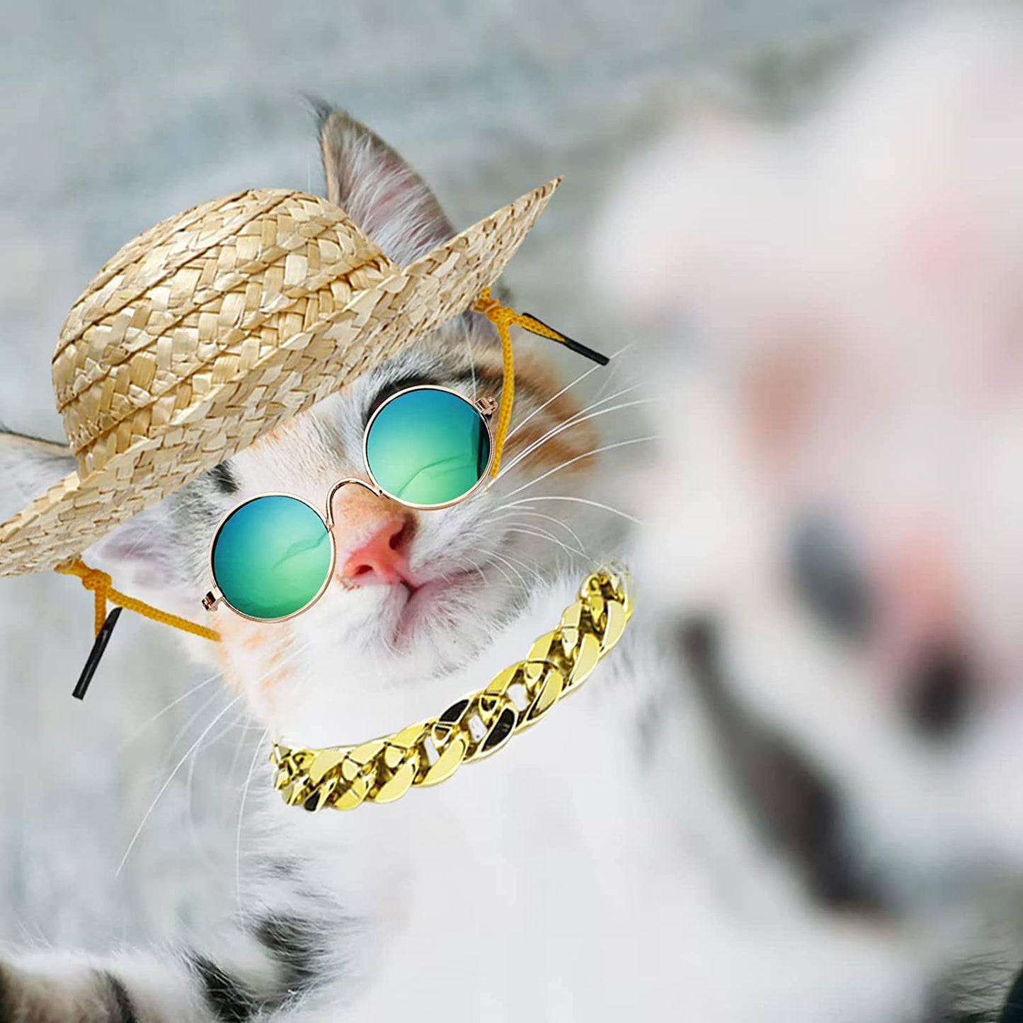 6PCS Pet Dog Cat Costume, Retro Pet Sunglasses, Adjustable Gold Chain Collar & Summer Straw Hat, Funny Pet Accessories for Cat Puppy Small Medium Dog Birthday Cosplay Party Animals & Pet Supplies > Pet Supplies > Dog Supplies > Dog Apparel Gaprumi