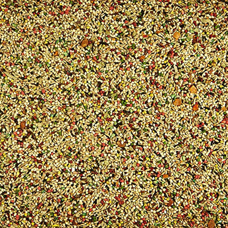 Kaytee Tropical Fruit Treat Jar - Parakeet 11 Ounces Animals & Pet Supplies > Pet Supplies > Bird Supplies > Bird Treats Kaytee