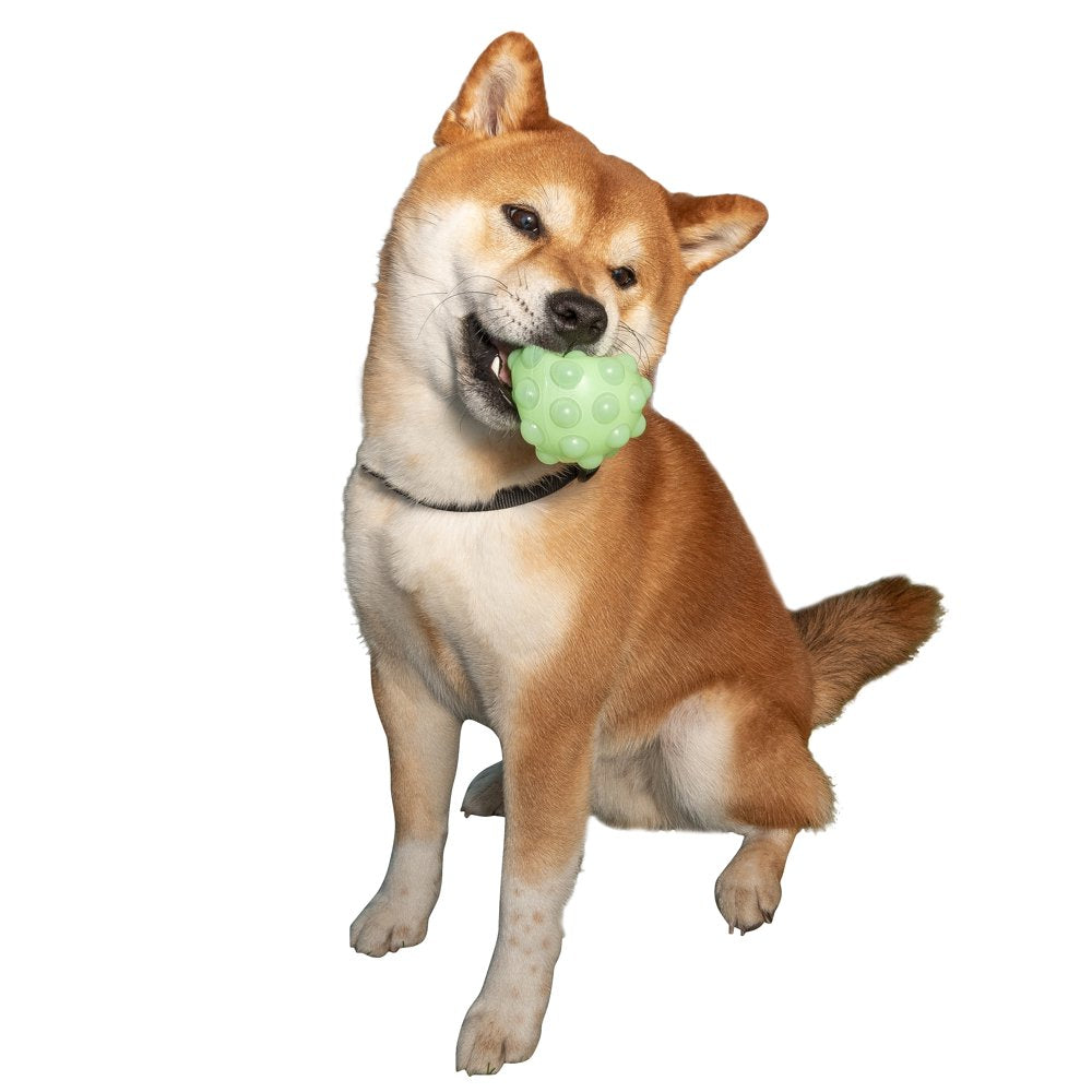 Justice Pet Glow Pop It Dog Toy Animals & Pet Supplies > Pet Supplies > Dog Supplies > Dog Toys Lexington Resources