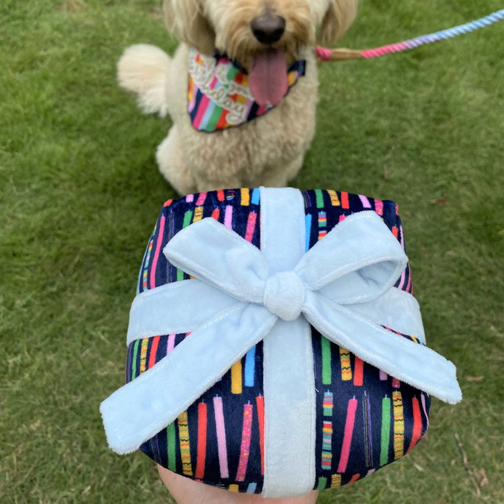 Packed Party Dog Plush Present Toy Animals & Pet Supplies > Pet Supplies > Dog Supplies > Dog Toys Packed Party