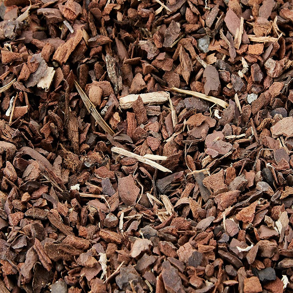 Exo Terra Rain Forest Terrarium Substrate 4 Quart Animals & Pet Supplies > Pet Supplies > Reptile & Amphibian Supplies > Reptile & Amphibian Substrates Hagen