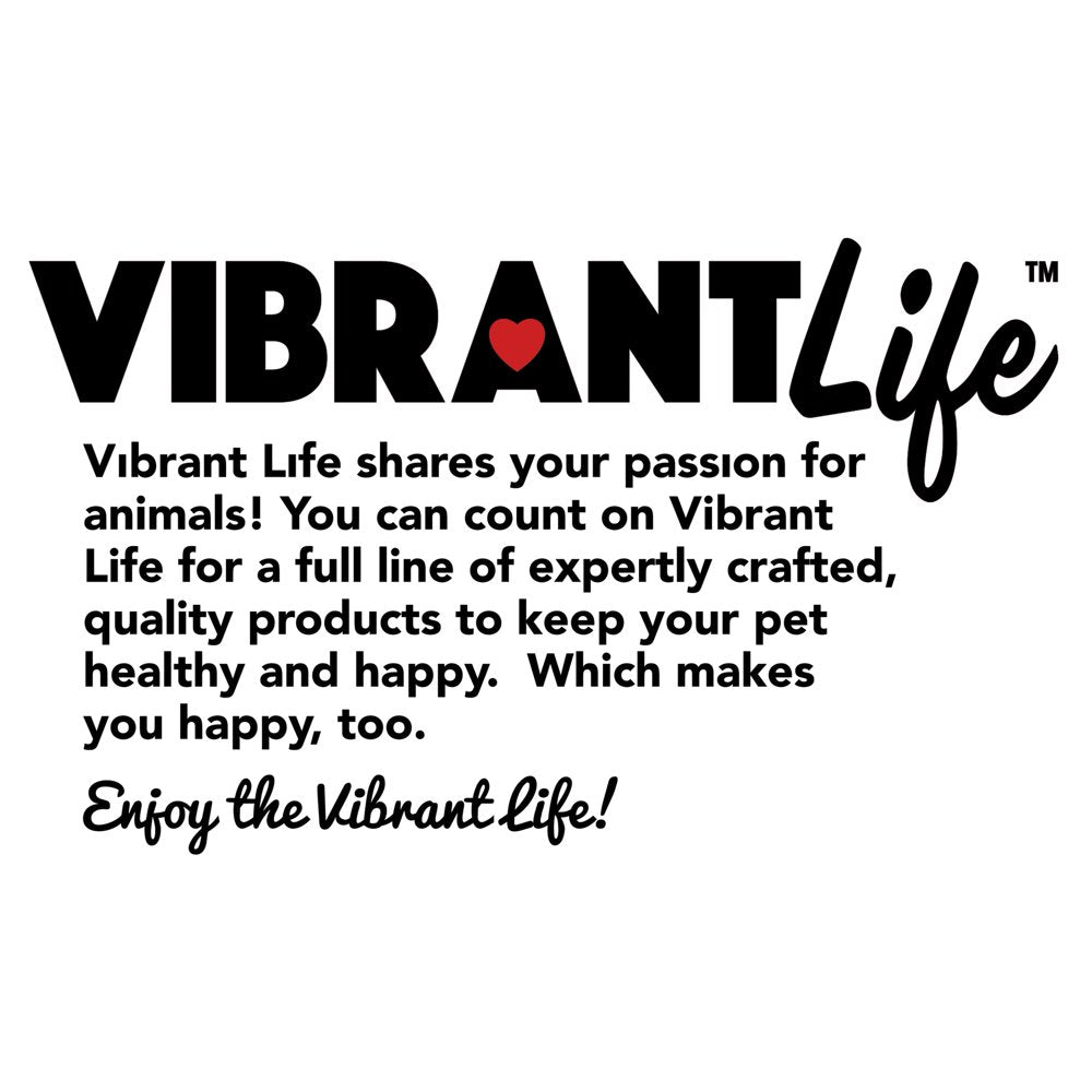 Vibrant Life Fetch Buddy Happy Face Disc Dog Toy, Character May Vary, Chew Level 3 Animals & Pet Supplies > Pet Supplies > Dog Supplies > Dog Toys Wal-Mart Stores, Inc.