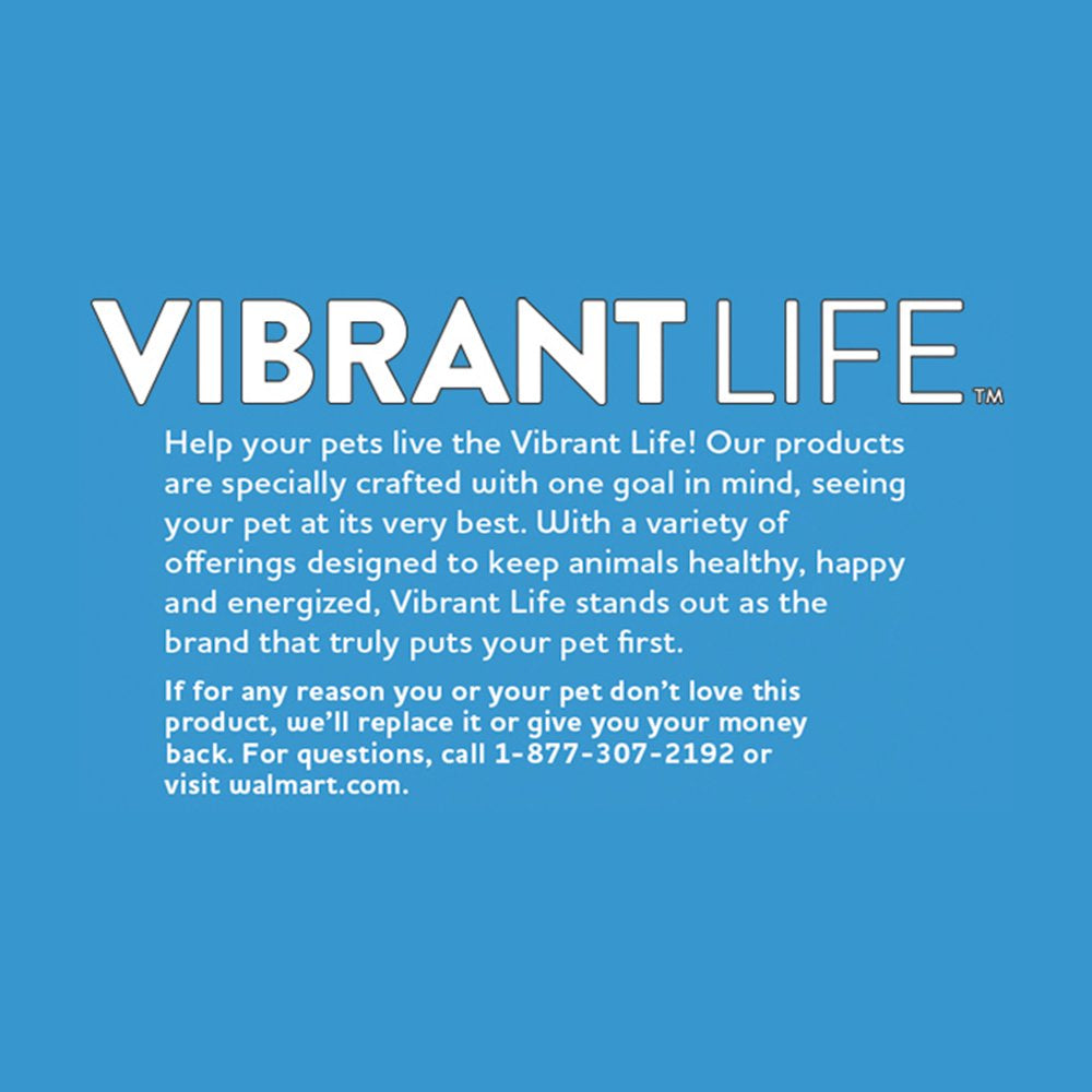 Vibrant Life Dental Suction Dog Toy, Cactus, Medium, Orange Animals & Pet Supplies > Pet Supplies > Dog Supplies > Dog Toys Vibrant Life