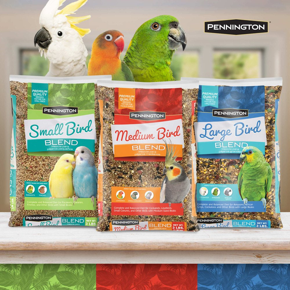 Pennington Medium Bird Blend Bird Food for Cockatiels, Love Birds; 3 Lb Bag Animals & Pet Supplies > Pet Supplies > Bird Supplies > Bird Food D & D Commodities