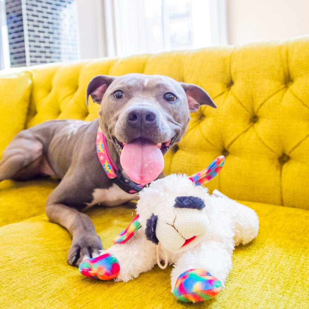 Multi Pet Mp Lamb Chop Medium Bright Animals & Pet Supplies > Pet Supplies > Dog Supplies > Dog Toys Multipet