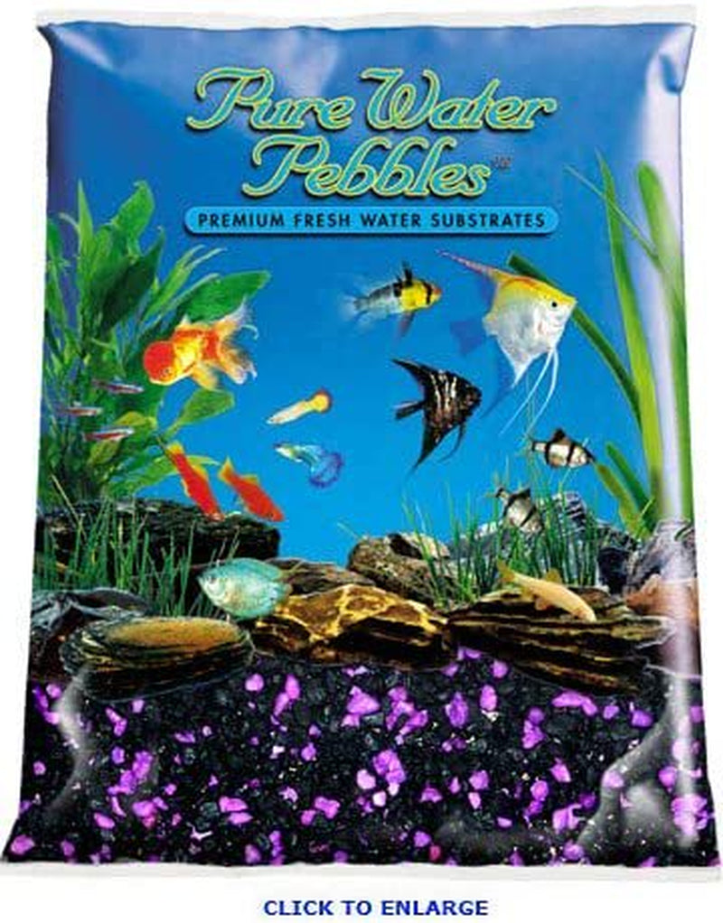 Pure Water Pebbles Aquarium Gravel 5 Pound Blackberry Glo KOL PET