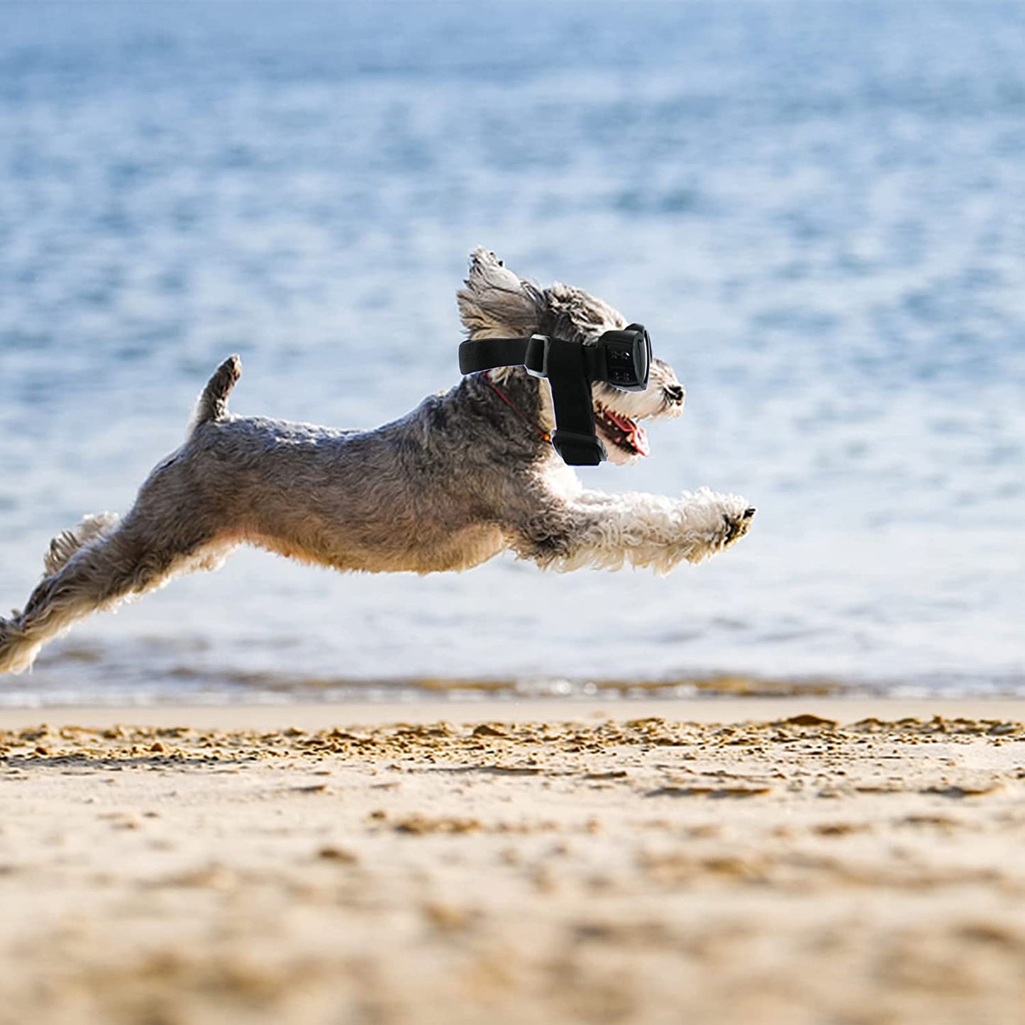 Small Dog Sunglasses, Heart Shape Dog Goggles, Eye Wear Protection With Adjustable Strap for Dogs about over 15 Lbs Black + Pink Animals & Pet Supplies > Pet Supplies > Dog Supplies > Dog Apparel RTUDOPUYT