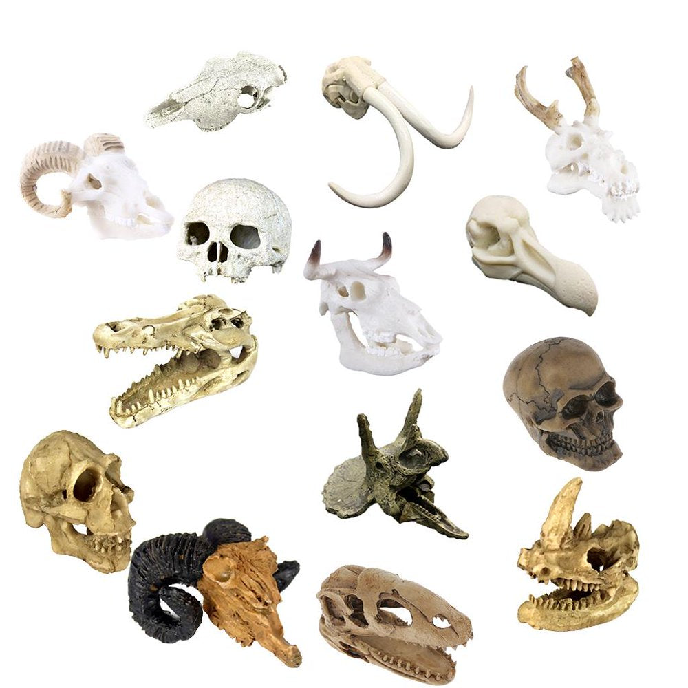 Human Skull Reptile Cave, Resin Basking Platform Hiding Habitat Aquarium Terrarium Decoration Ornament for Turtles Amphibians Fish Animals & Pet Supplies > Pet Supplies > Small Animal Supplies > Small Animal Habitat Accessories perfk